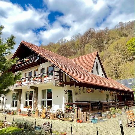 Pensiunea Piatra-Craiului Zărneşti Exteriér fotografie
