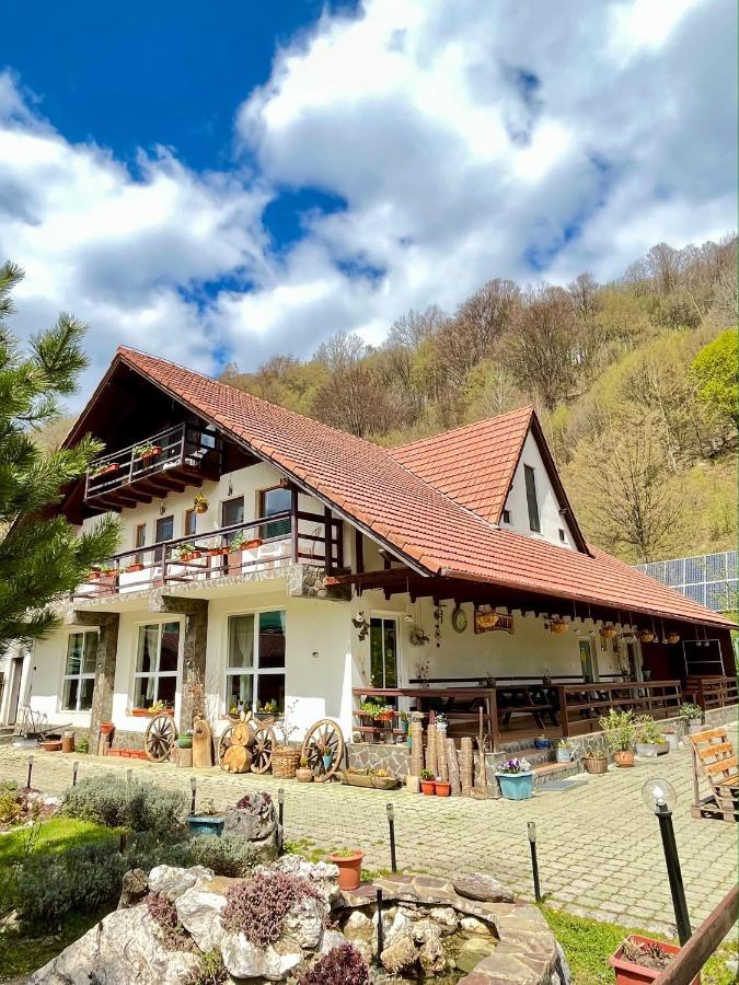 Pensiunea Piatra-Craiului Zărneşti Exteriér fotografie